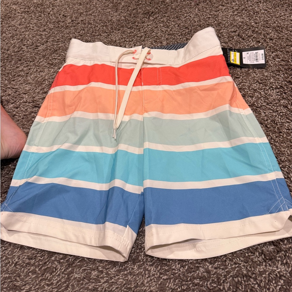 🍋Art Class Striped Shorts